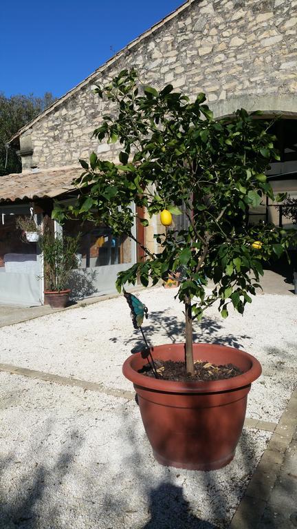 Le Clos Des Aramons Bernis Εξωτερικό φωτογραφία